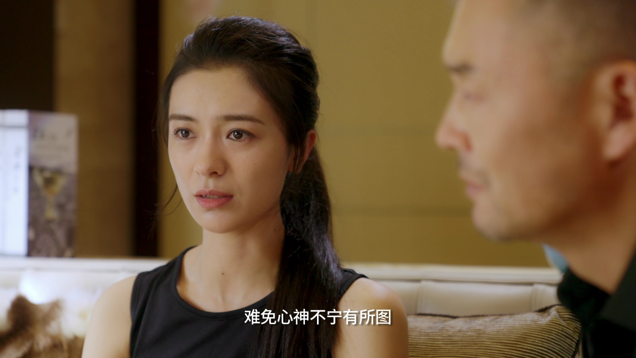 赘婿无双 8集