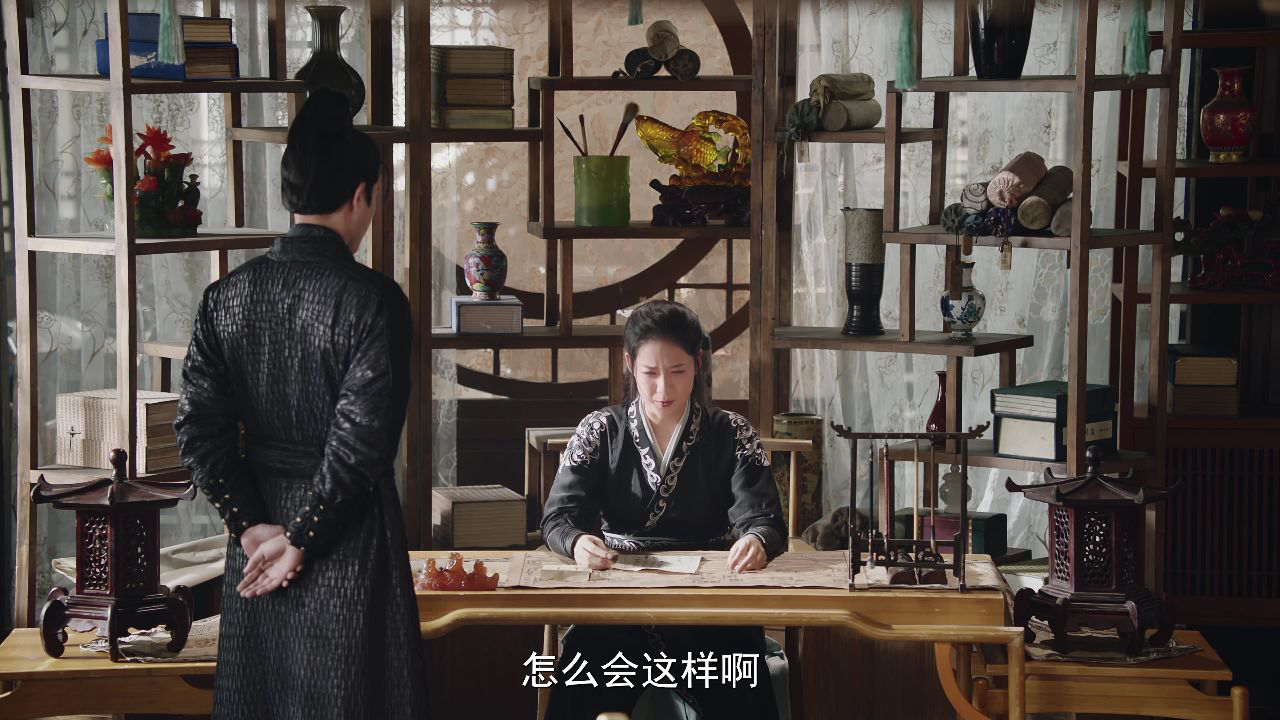 将军在下 3集