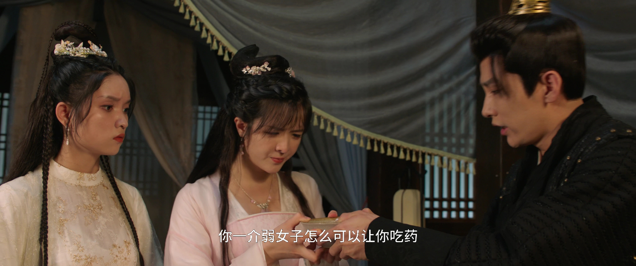 将军的农家妻 11集
