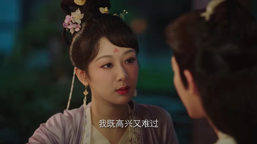 长相思 第一季 28集