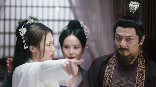 皇妃为何那样 14集