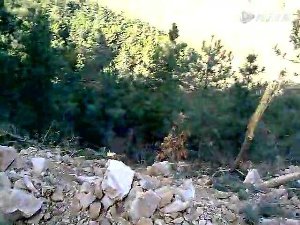 _高清1080P在线观看平台_腾讯视频