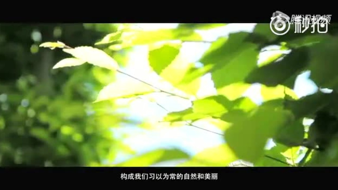 关爱特殊儿童支持随班就读宣传片_高清