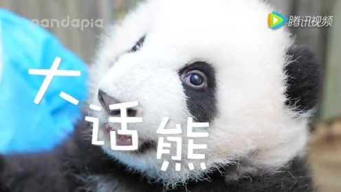 《大话熊猫》第二季12 ～有大哥罩你还怕啥！？