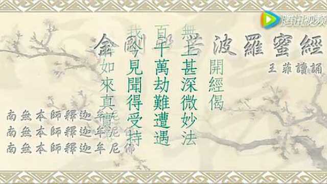 王菲金刚经朗诵版适合跟读