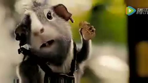《豚鼠特攻队》最新预告片 小豚鼠身怀绝技爆笑登场