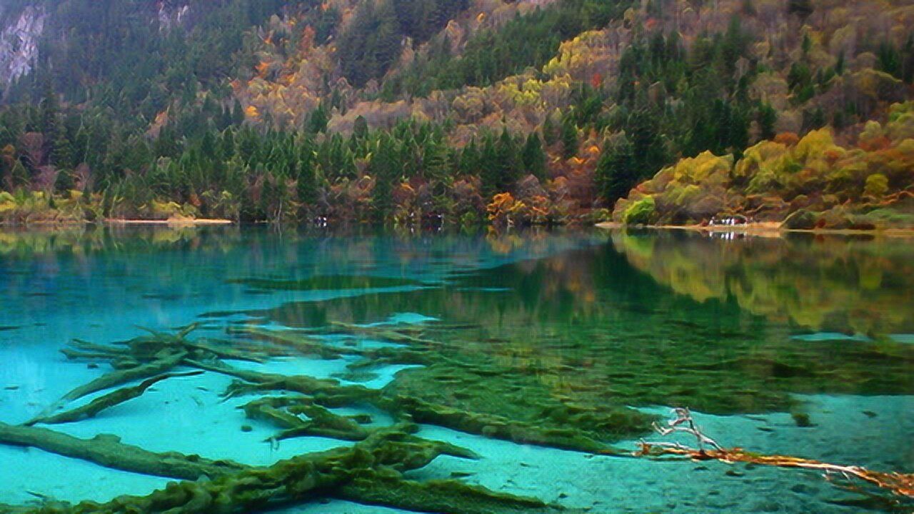 航拍九寨沟五花海_高清1080P在线观看平台_腾讯视频