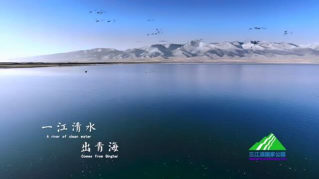 江河之源生命之域