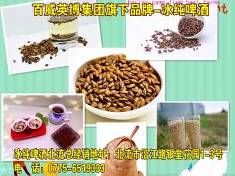 百威英博集团旗下品牌冰纯啤酒