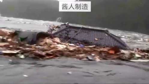 日本大地震海啸未公开实拍视频 山崩地裂太吓人