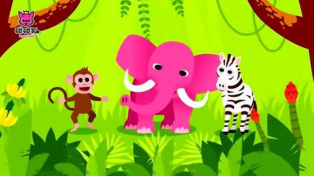 碰碰狐!动物儿歌 动物 动物