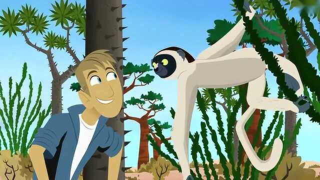 新动物兄弟真是惊讶不已第一次遇见带刺的树