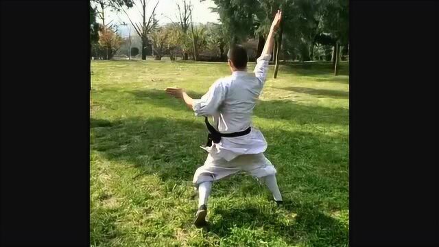 少林寺的各种邪门功夫 蝎子拳