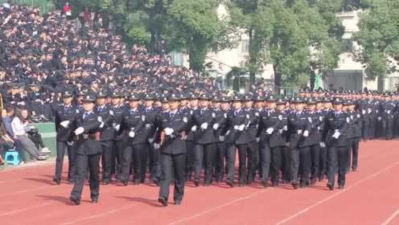 高清1080P在线观看平台_腾讯视频