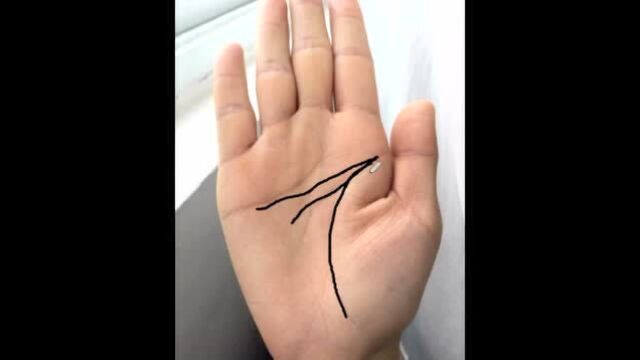 三线合一手相