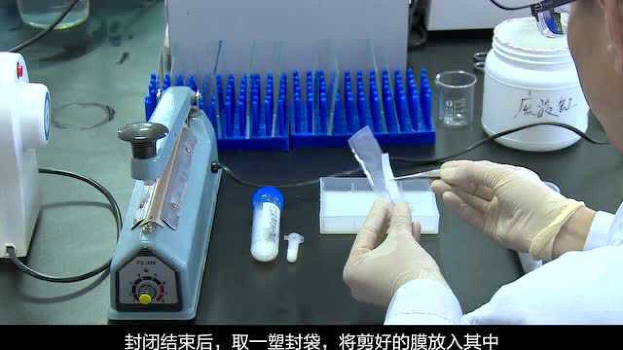 WesternBlot实验操作教程_高清