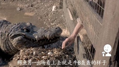 5分钟看完《惊世巨鳄》蛋碎的鳄鱼复仇之路