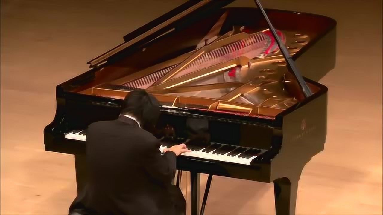 泪奔的日本盲人钢琴家辻井伸行