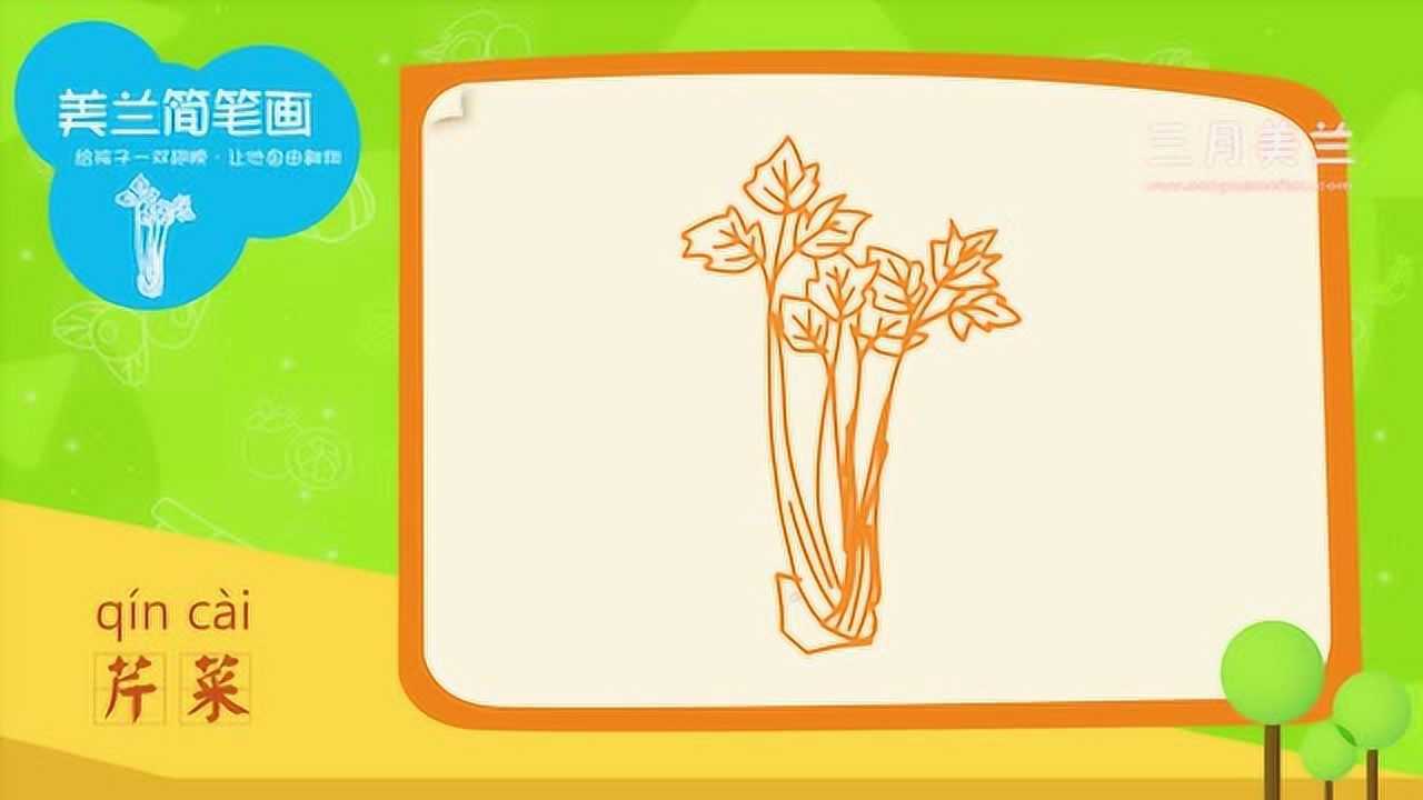 美兰简笔画之画食物31芹菜简笔画教程如何画芹菜简笔画视频