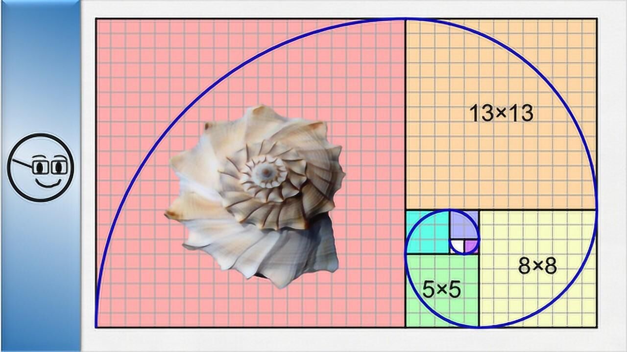 斐波那契数列兔子成精了非常有意思的一组数