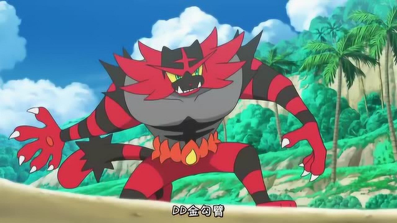 小智的火斑喵经过50多集终于进化了这是耗时最长的进化吗