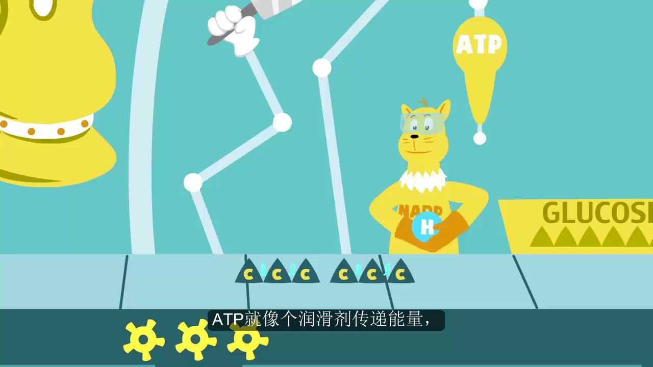 自然界最小的工厂-卡尔文循环
