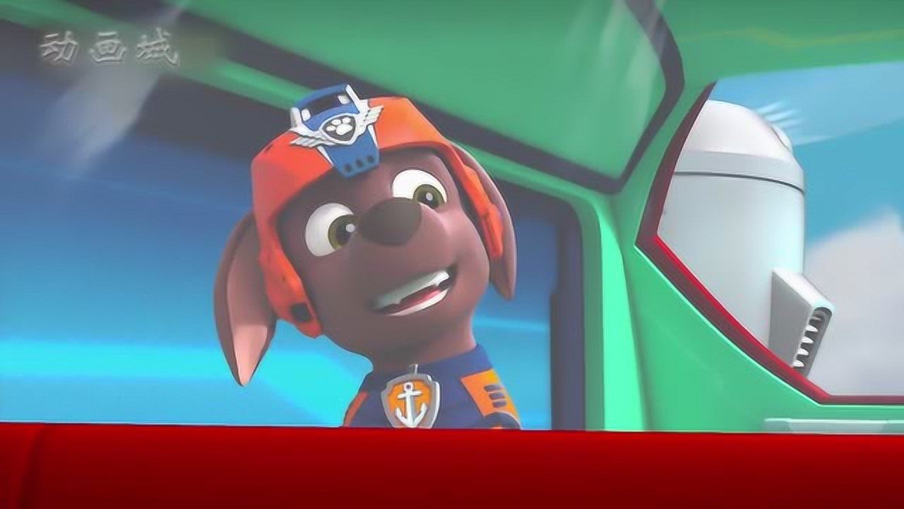 汪汪队:汪汪小分队的狗狗们,碰到了一只可爱的小燕子