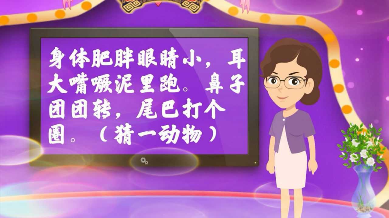 谜语猜一猜 第12集 猜一动物 猪