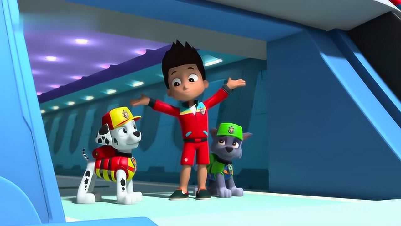 汪汪队立大功第四季:奇怪了,灰灰为什么会这么害怕水呢