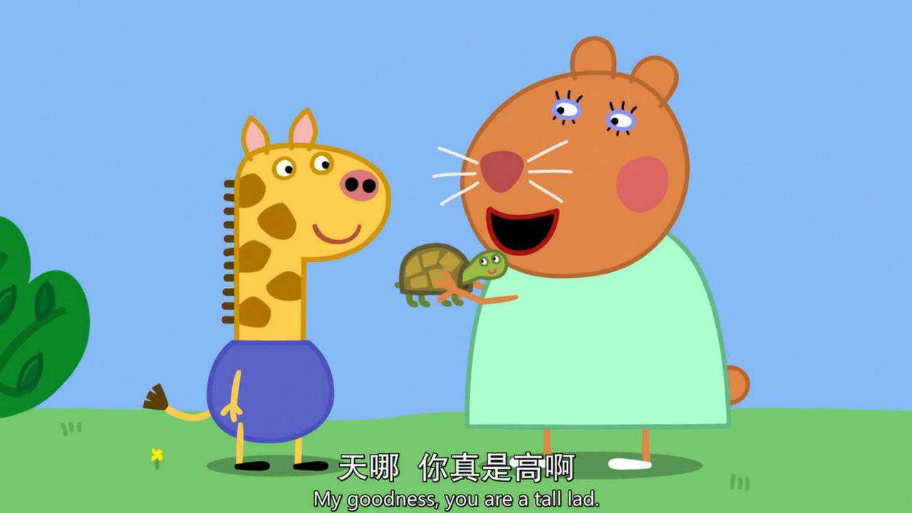 小猪佩奇小长颈鹿杰拉德帮兽医找到小乌龟 淘气的乌龟全集 简笔画