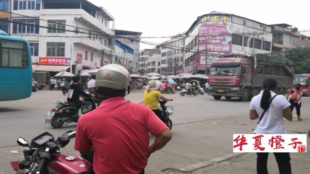 广西钦州十大镇之一小董镇,镇子确实太大了,橙子逛了2条主街道