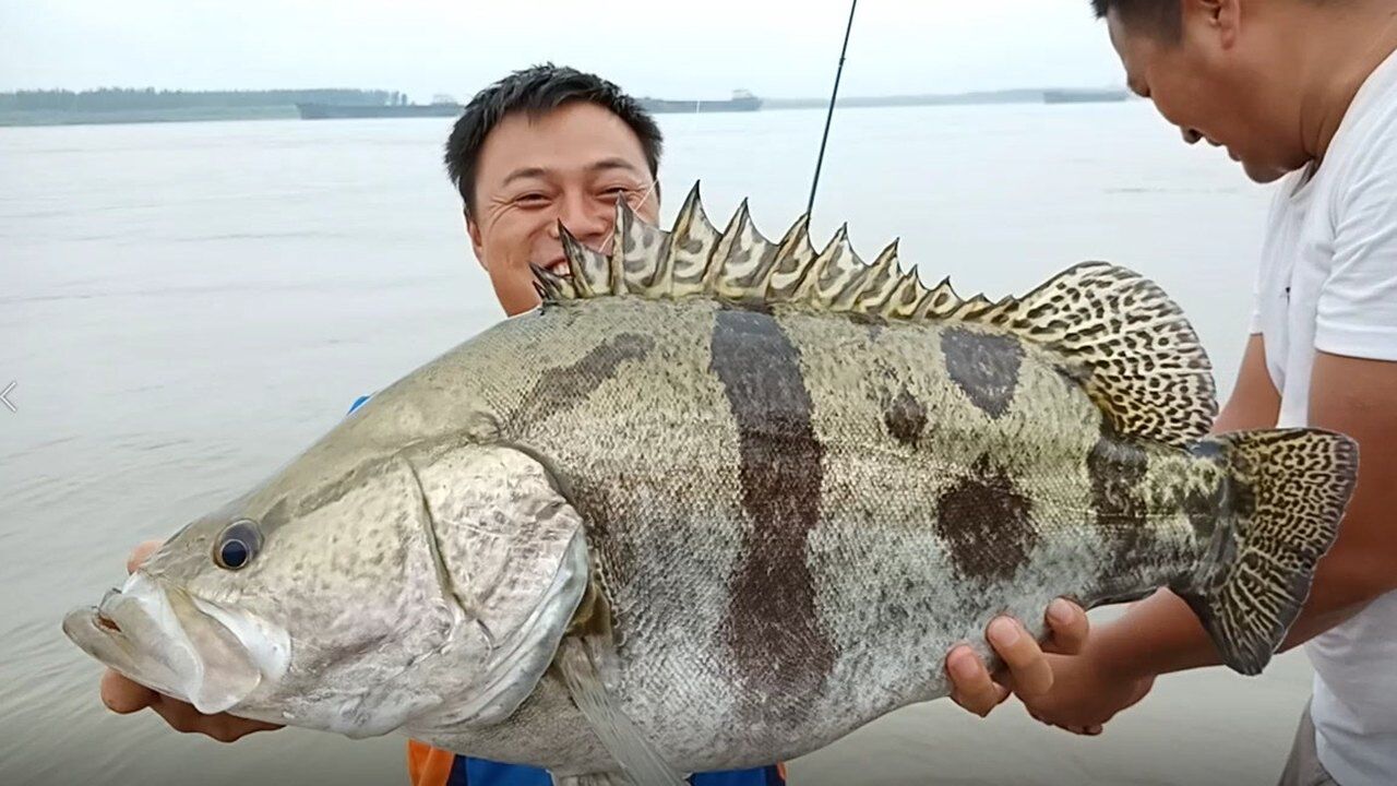 路亚鳜鱼壁纸图片