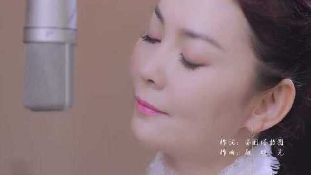 哈琳《月光故乡》MV