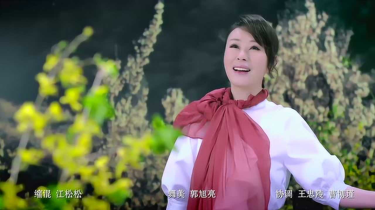 祖海《连翘花》