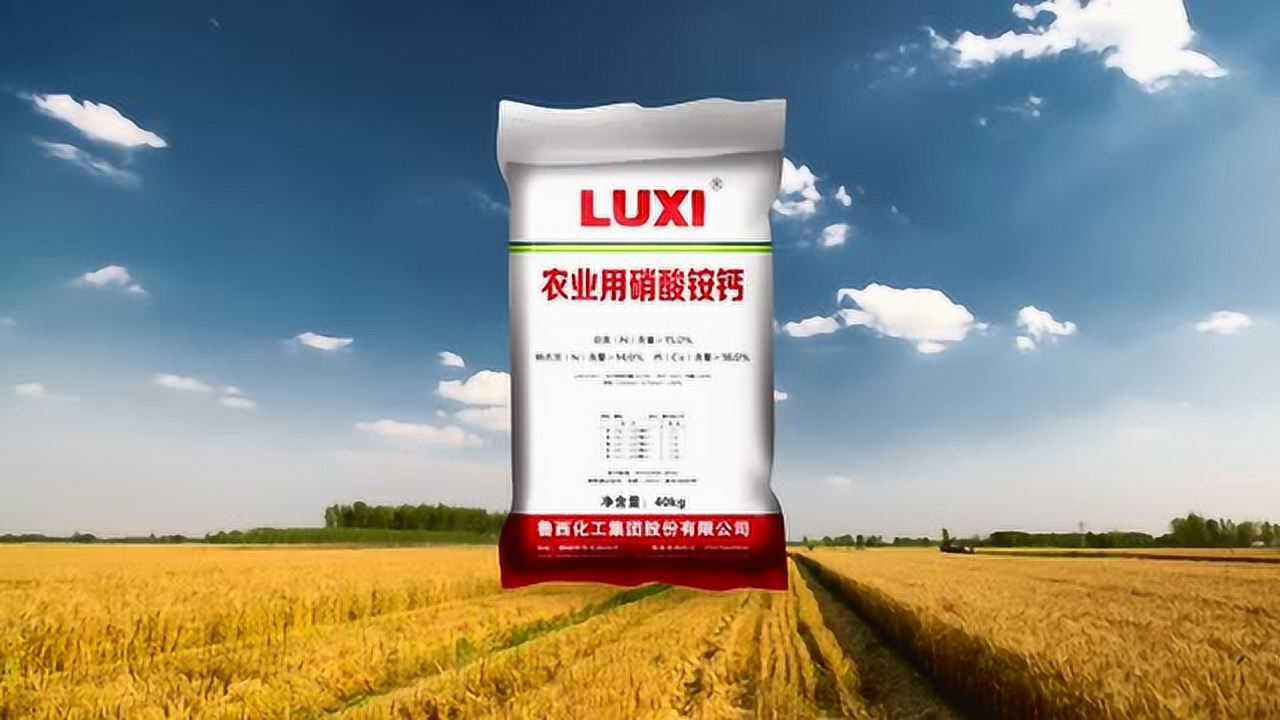 鲁西硝酸铵钙——我们不一样