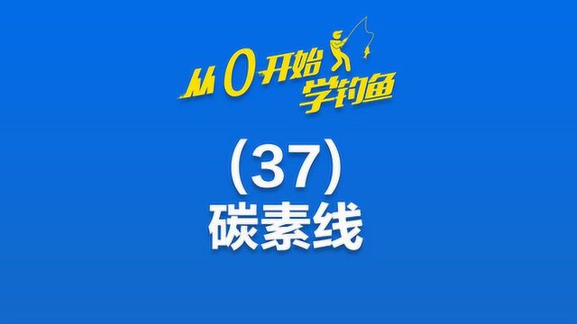 《从0开始学钓鱼》37碳素线