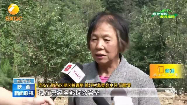 西安市鄠邑区:抢抓晴好天气加快复绿 恢复秦岭生态