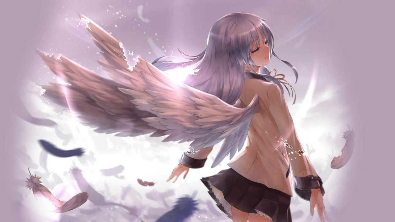 与你相遇的二次元,永不谢幕