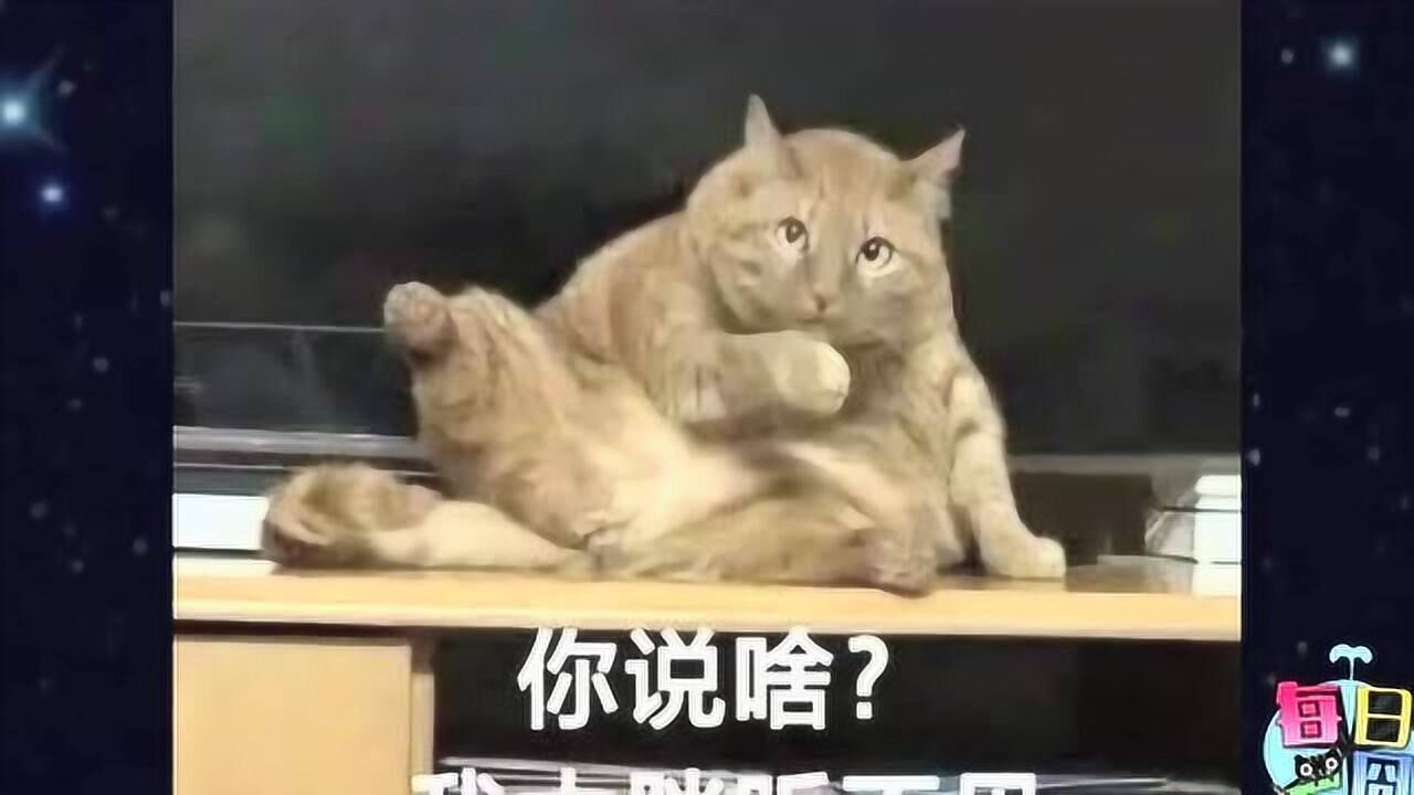 “想象中的大学生活”VS“实际的大学生活”_高清1080P在线观看平台_腾讯视频