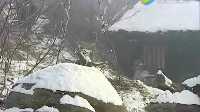 老版《水浒传》,林冲风雪山神庙除掉陆虞侯等小人,这段太精彩了