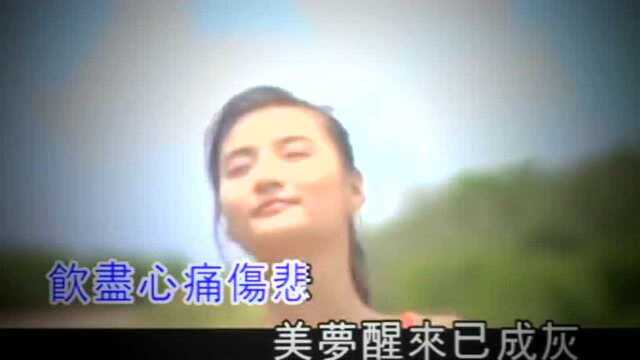 酒廊情歌金典怀旧《日夜盼郎归》演唱林翠萍