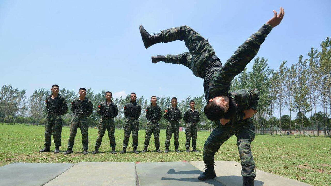 国外军警机关都在练习的格斗术 这些都是擂台上被禁止的技术!