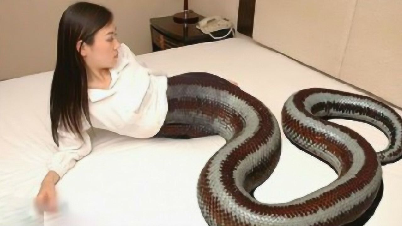 女孩一夜长出蛇尾,竟是千年白蛇转世,村民惶恐不安纷纷拜佛求保佑