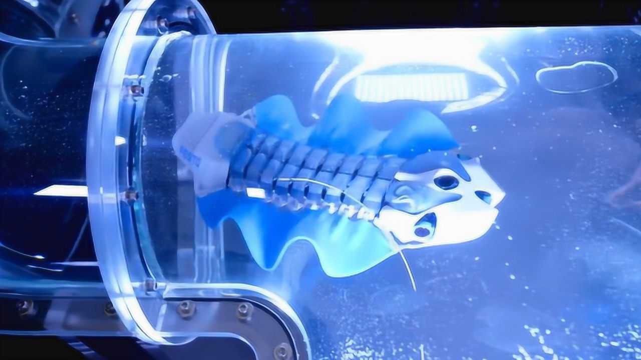 德国逆天仿生鱼,多连杆连接,填补海洋下潜空缺,让人不得不服!