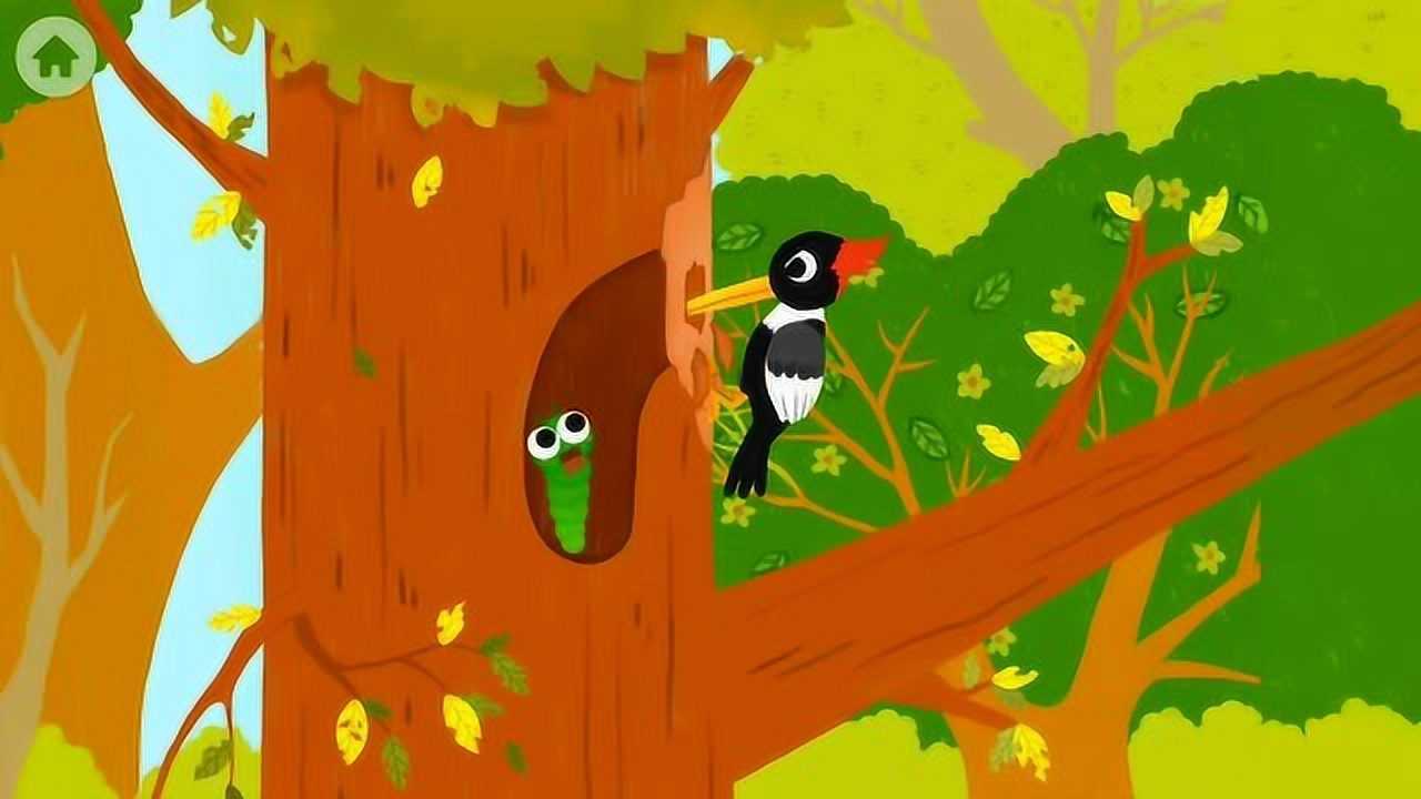 动物乐园百科 森林卫士啄木鸟抓虫子