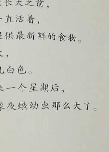 昆虫记之砂泥蜂