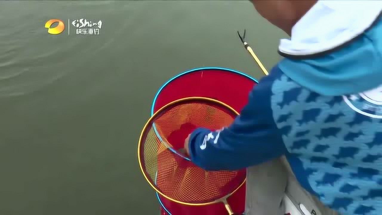 快乐垂钓西南钓王邱延军黑坑上大鱼