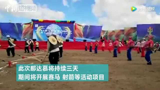 苏勒德草原那达慕农牧民的欢乐趴