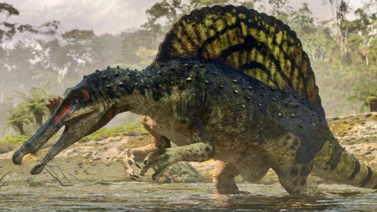 吃鱼的恐龙是"旱鸭子",科学家们发现,棘龙因为一点不能下水