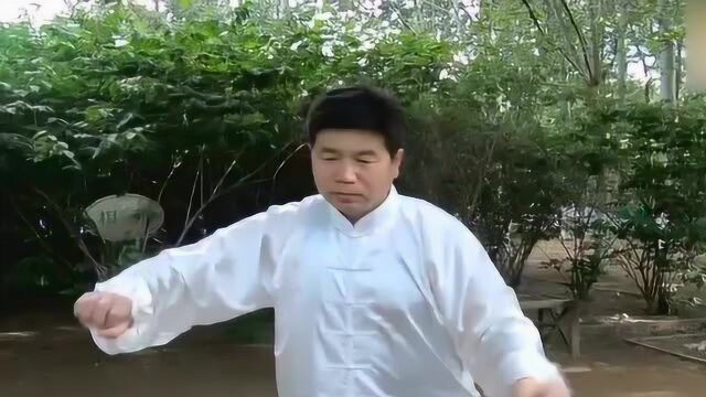 宗师李健民演绎太极拳精髓,真正的以柔克刚!太精彩了